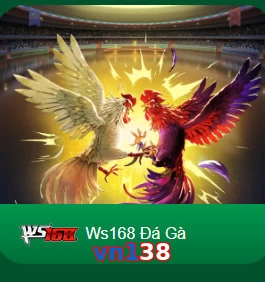 vn138