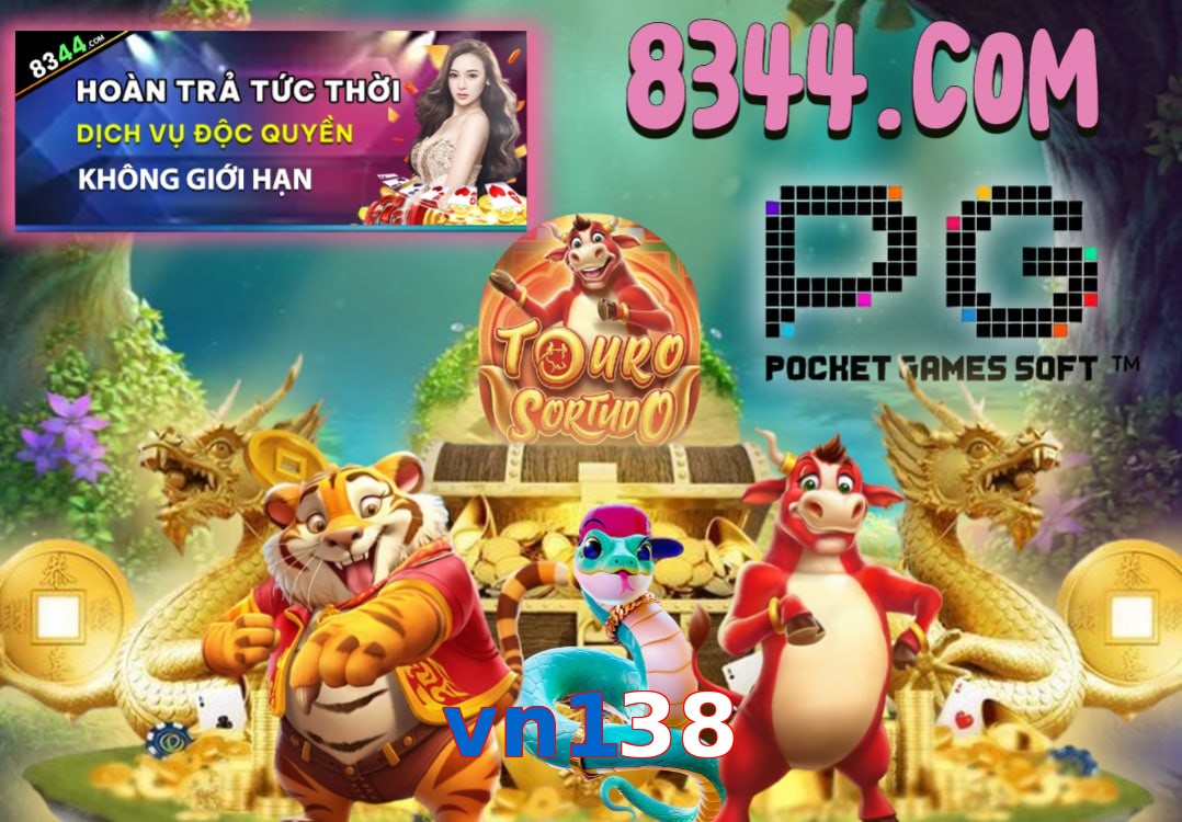 vn138